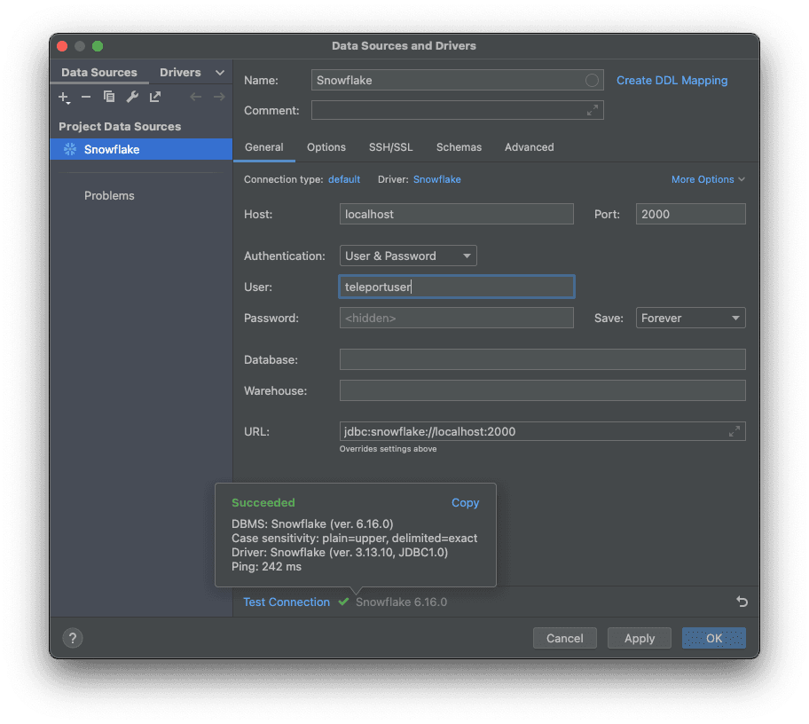 JetBrains Success